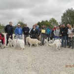 Rando-Balade Pédestre et Canine 2016